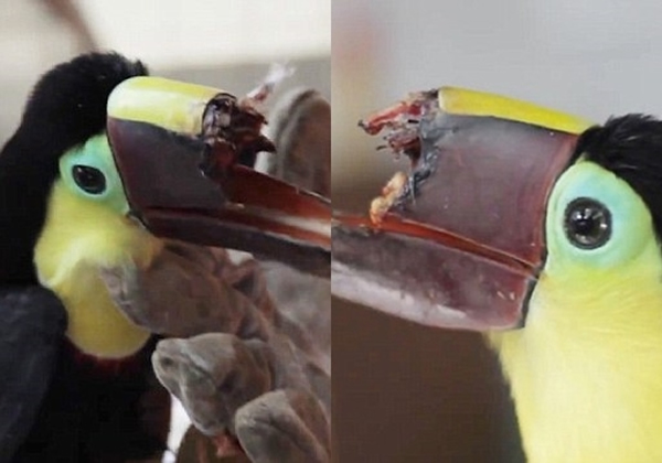 ���������๼�������ȫ����