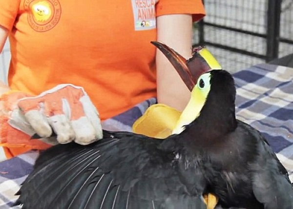 ������������Ҫ�������չ�