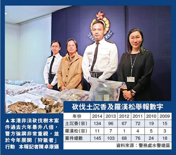 ���͵����Σ��ľ���������