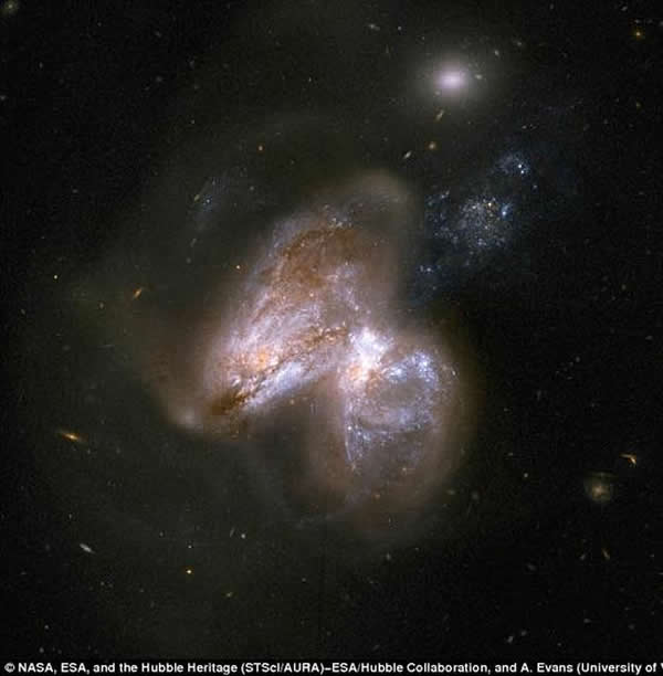 位于图像中右侧星系核心的黑洞正处于活跃状态并大量吞噬周遭气体物质,而右侧星系内部的黑洞则处于休眠状态。在这张图像中4~6keV能级的X射线信号用红色表示,6~1