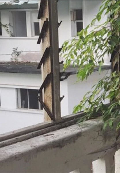 男子在新加坡废弃樟宜医院拍照 左下角窗户惊现神秘白色身影