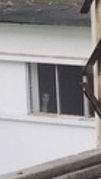 男子在新加坡废弃樟宜医院拍照 左下角窗户惊现神秘白色身影