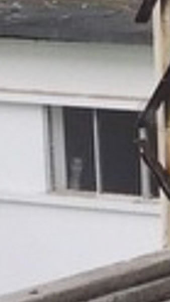 男子在新加坡废弃樟宜医院拍照 左下角窗户惊现神秘白色身影