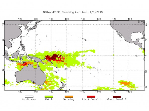 对珊瑚礁白化风险的最新预测