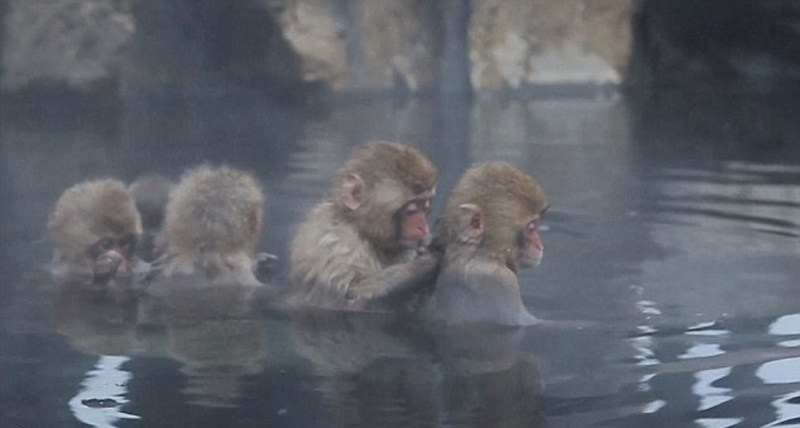 ȪȼʤرȽƫԶÿȻ10ο͵á