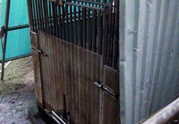 ������100������ܵ����� Խ��3����ͯ���ֲ���ҧ��