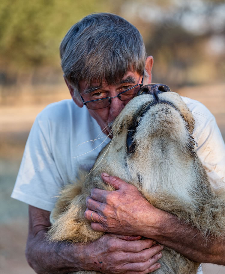 除了狮子“宰恩”外,索尔姆家中还养了另外18只狮子、美洲豹、非洲猎豹等。