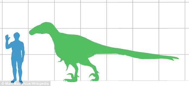 �����������˵����ͶԱ�