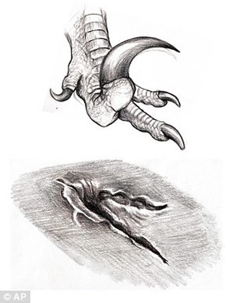 ���ֽ�ֺ�������������Ŀ�������������ĦѺ�ı����������㼣��