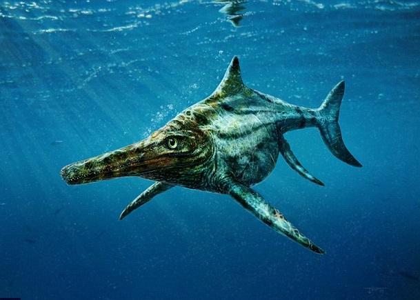 英国苏格兰发现侏罗纪时期的新品种鱼龙化石——“萧克劳希海鬃蜥”复原图