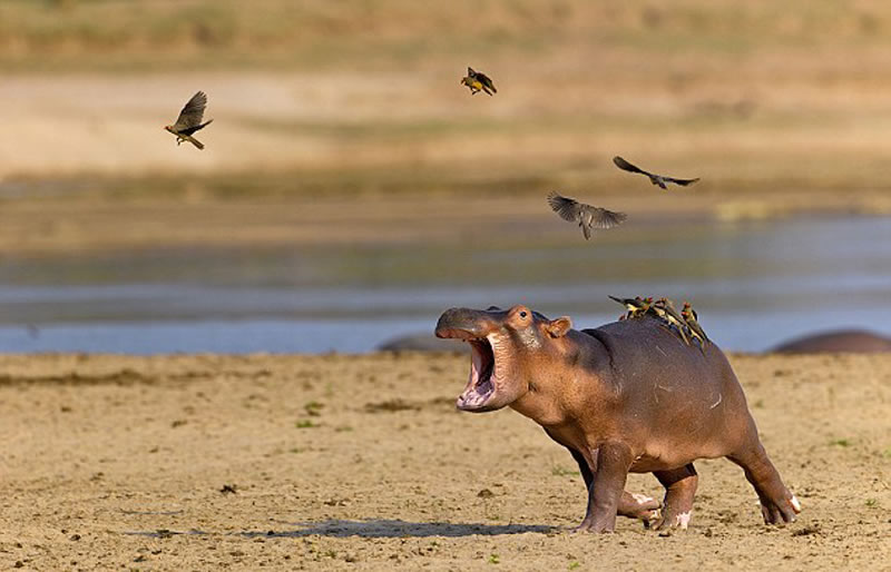 ޱ¬Ϲҹ԰ҰСѱţĸЦ