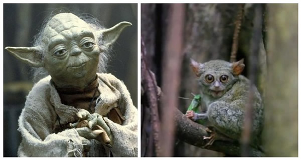 �������ս�����ȴ��ʦ��ԭ�����۾��