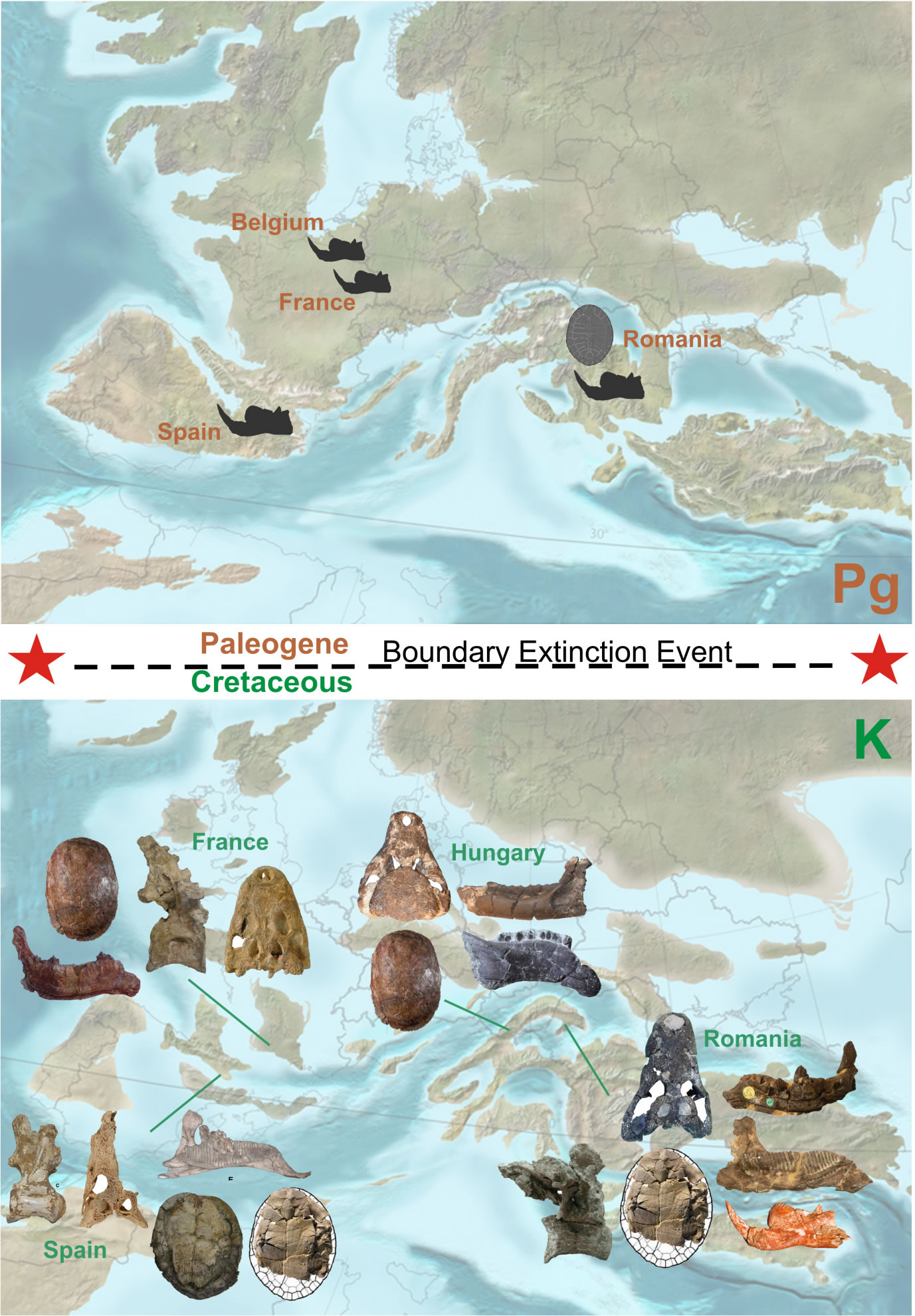 恐龙灭绝时期欧洲大陆生态系统的进化