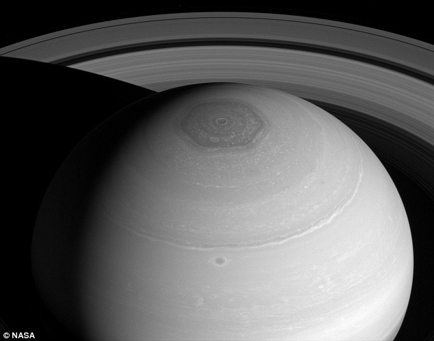 ��һ�о��ɹ������ֲ���һ���������ĵ�ά����Ⱥ���������ڵ�10���������ߡ��������������С���ȡ�á��˴ν��еļ�������˿�ѧ�Ҷ����ǹ�����˽⣬�����������Ϊ����