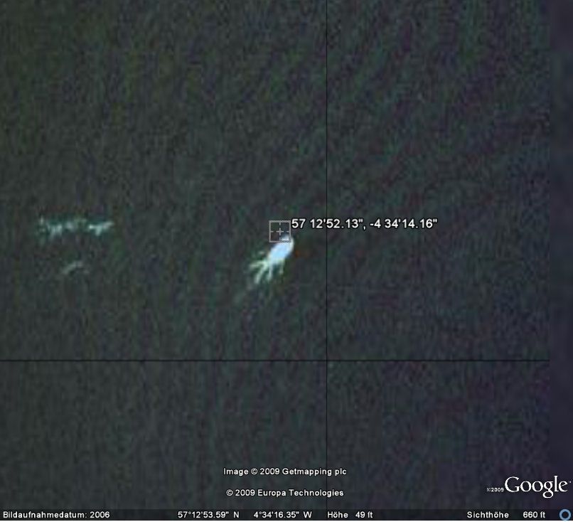 这是2009年有人声称在谷歌地图上发现的尼斯湖怪。