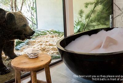 美国自然爱好者在新西兰发现巨沙螽之中的王