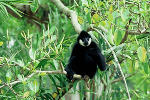 ����ѧ���õ��Գ�ʽ�о�����Գ�����Ժ͸������࣬������26������������