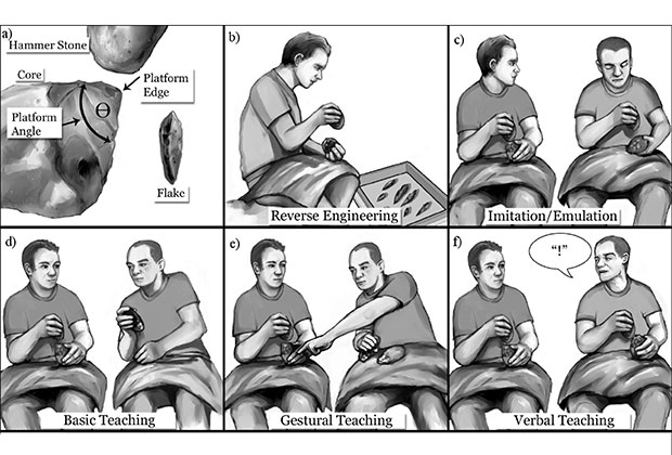 语言的起源或许与史前石器的制造有关
