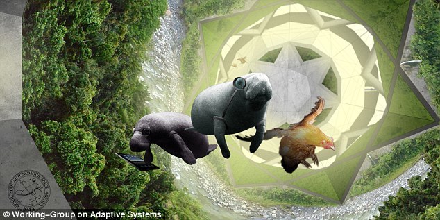 该项目是由总部设在美国马里兰州的“自适应系统工作组”创建的,该机构设想海牛和禽类将在航天器内部重建起它们自己的生态系统。在他们的网站上写道:在最近几十年内,太空