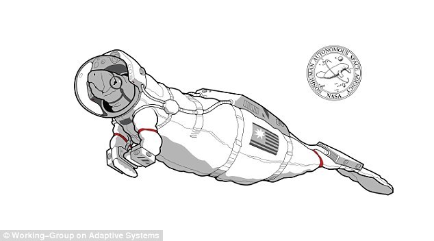 第一个进入太空的生物是狗,猴子和兔子。重新思考动物探索太空的可能性将为我们打开一项时机,充满风险但也将带来丰厚回报。已经适应在失重介质中生活的动物是否会比人类更