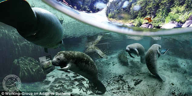 从某些方面来说这是一种乌托邦式的设想,在那样的未来,地球上的人类如此珍视大自然,他们希望能够在太空重现它。这张图中设想的是未来海牛可以使用平板电脑的场景