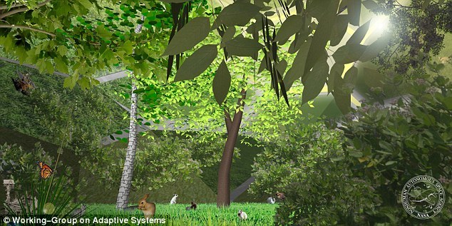 这种想象中在太空中重现的栖息地被称作“慵懒之河”(the Lazy River),工作组声称这是对美国佛罗里达州南部的模拟。