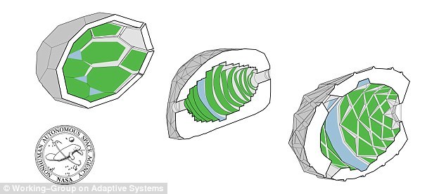 设想中的整个飞船会通过自转来创造大约与火星表面相当的人工重力,其强度大约相当于地球重力的1/3。在这样的重力环境下,鸡可以跳跃,海牛可以到处爬行,特殊的护目镜会