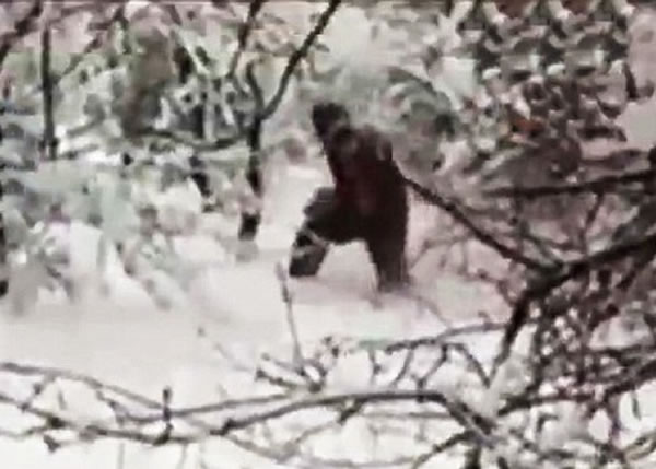 疑似大脚怪现身俄罗斯西南部的亚狄吉斯克