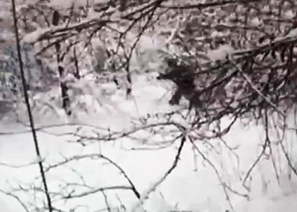 片段惹起激辩,有人认为这证实当地有大脚怪。