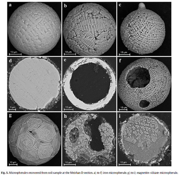 úɽD���������е�΢����