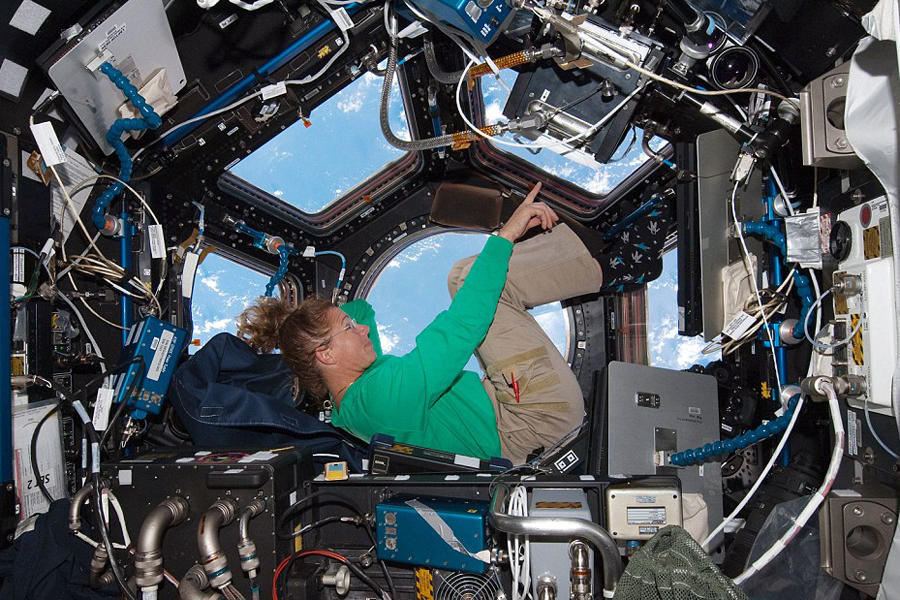 ͼ����ʾ��Ϊ��������˹�ź���ɻ�STS-135�ϵ�����ר��Sandy Magnus ��������񷶥�۲촰�������ŵ�����������ĿǰΪֹ���ռ�վ�۲�����Ѿ���14���