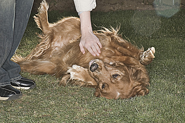 ���ô��о�ָ���������ǲ��������� �����߹�����