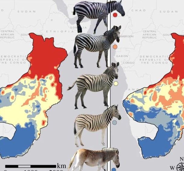 �����ȵ����������İ��ƻ�������ԡ�