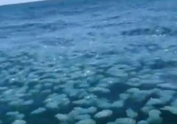 ��ˮĸ��ȥ��ʥ����ӿ�ֺ�ռ�ݵ�����������š�