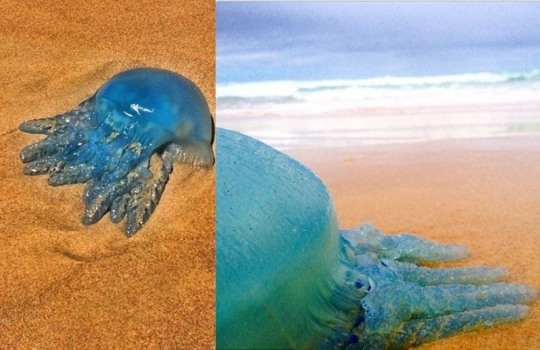 ���ٵ��ؾ�����������̬��������