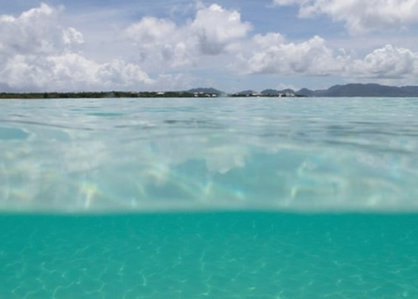 研究指出,近10多年海平面的上升速度比预期快。