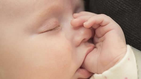 �촽�������������ԭʼ���䣬�����ǵ�����������Ҫ������������֪�����˱����������Ҫ֪��ѧ��������������Ҫ�ԡ���˱�������һ��ԭʼ��Ӧ������ʳ������Ӥ�������Ϊһ