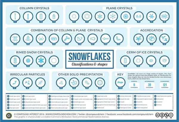 ѩ���Ը��ָ�������״���ֳ�����������Ϣͼչʾ��35����״�ķ��ࡣ�ձ�������������ҵ��ѧ���о���Ա����Щ��״�ֳ�121�ࡣ