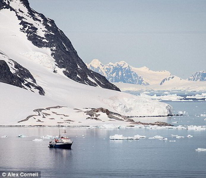 这些精美照片是康奈尔穿过德雷克海峡时拍摄的。
