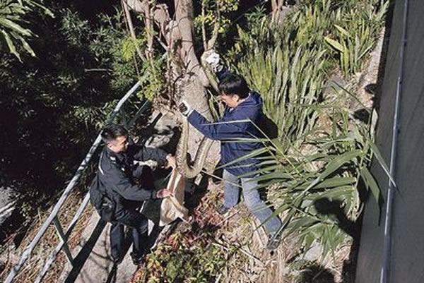 ���һ��3.5�׳����������ɹ̫������