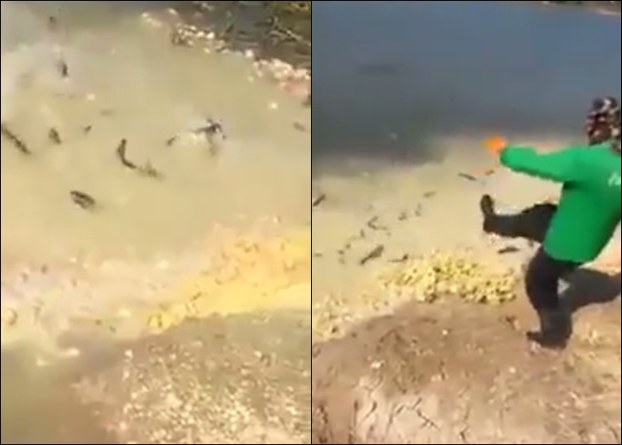 �������б���������ʳΪ��������ũ���������ߵļ�����ˮ(��)��