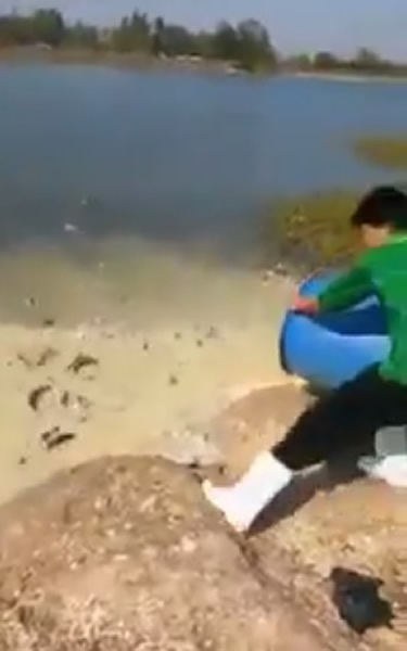 ������ʳ����