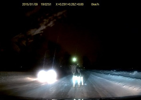 ˹һͷţɲʱɱ ;¸֮زز