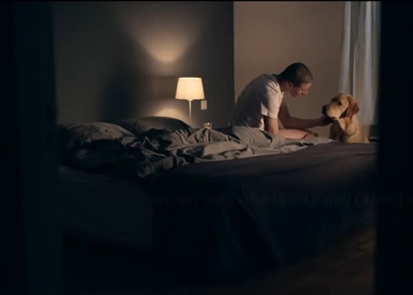 皇家荷兰导盲犬基金会的宣传片勇夺最佳广告“金狮奖”