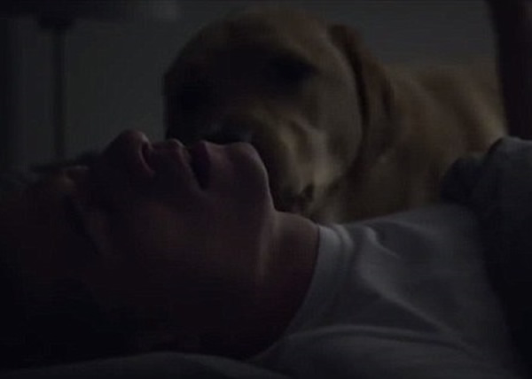 镜头一转,原来是家中狗狗舔他的脸。