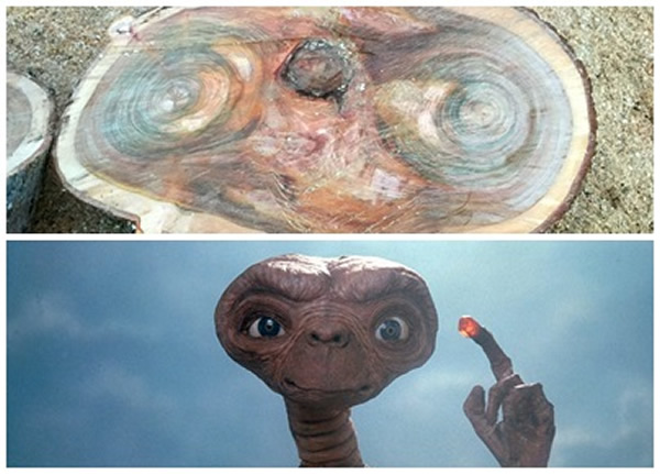 树桩的木纹(上图)与电影中的“E.T.”(下图)非常相似