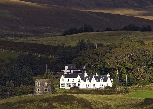 夏利考虑将“E.T.树桩”带回他经营的酒店(图)。