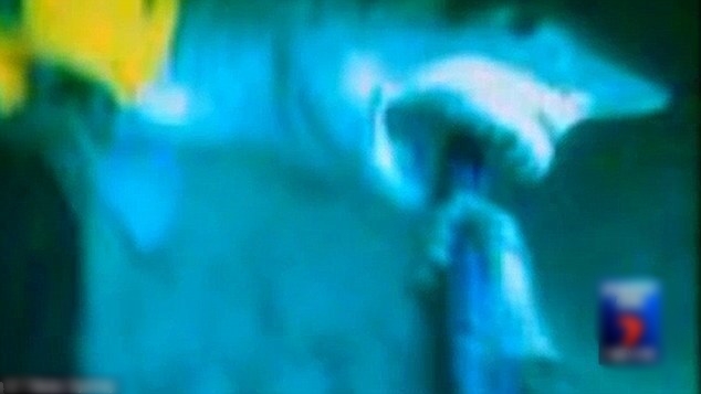 多得鱼叉,否则史密斯可能死于鲨鱼口下。