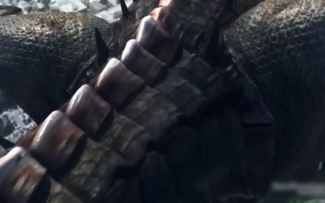 子弹未能穿入喷火飞龙体内