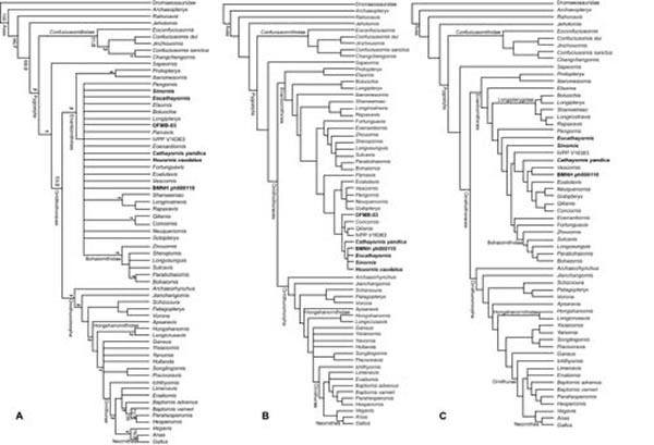 ϵͳλۣA.ϸB.ԣΪϵȺϸC. ͼ